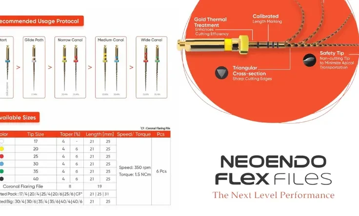 Neoendo Flex Files